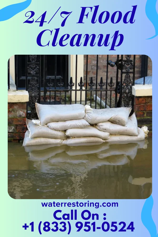 24/7 Flood Cleanup in Riverview Park, PA
