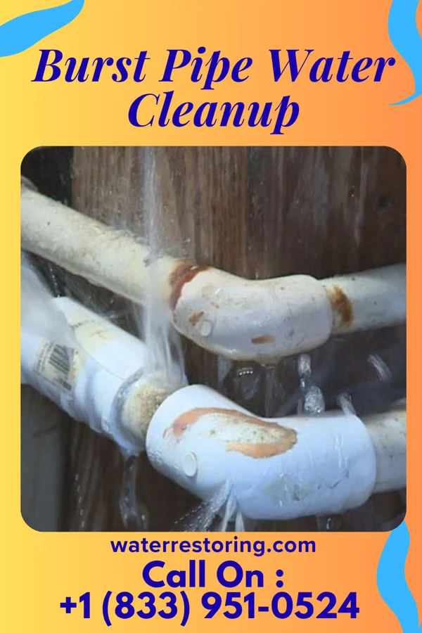 Burst Pipe Water Cleanup in Riverview Park, PA