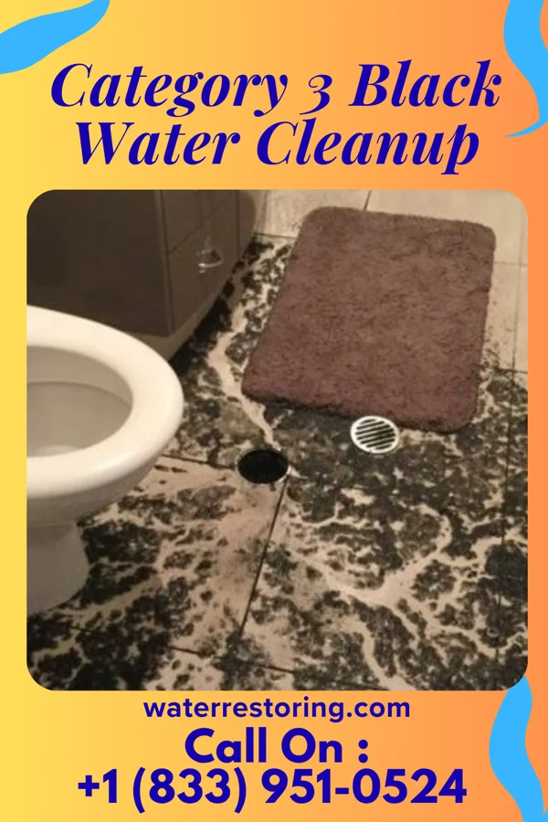 Category 3 Black Water Cleanup in Riverview Park, PA