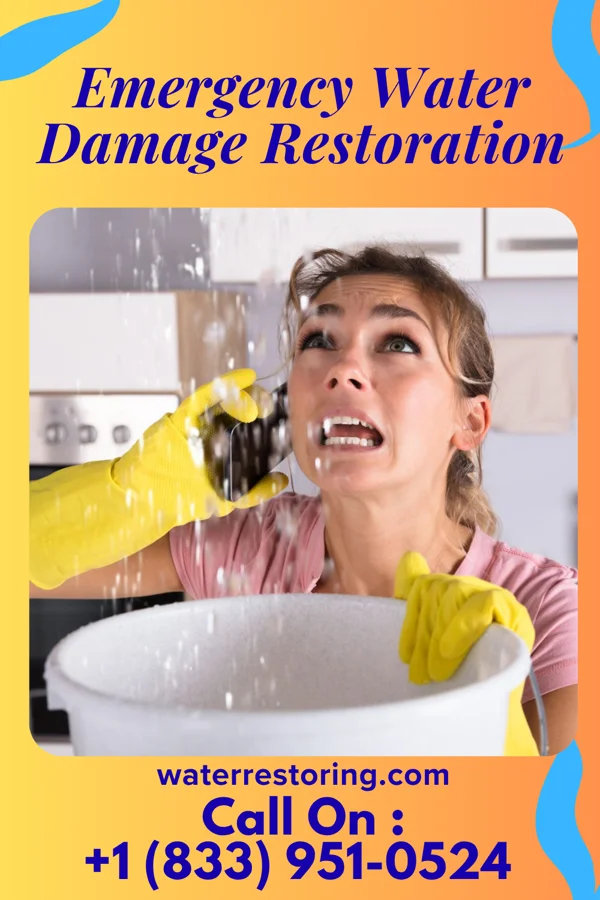 Emergency Water Damage Restoration in Riverview Park, PA