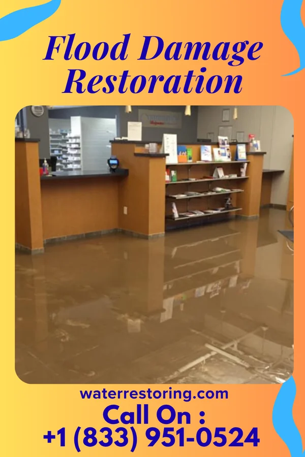 Flood Damage Restoration in Riverview Park, PA