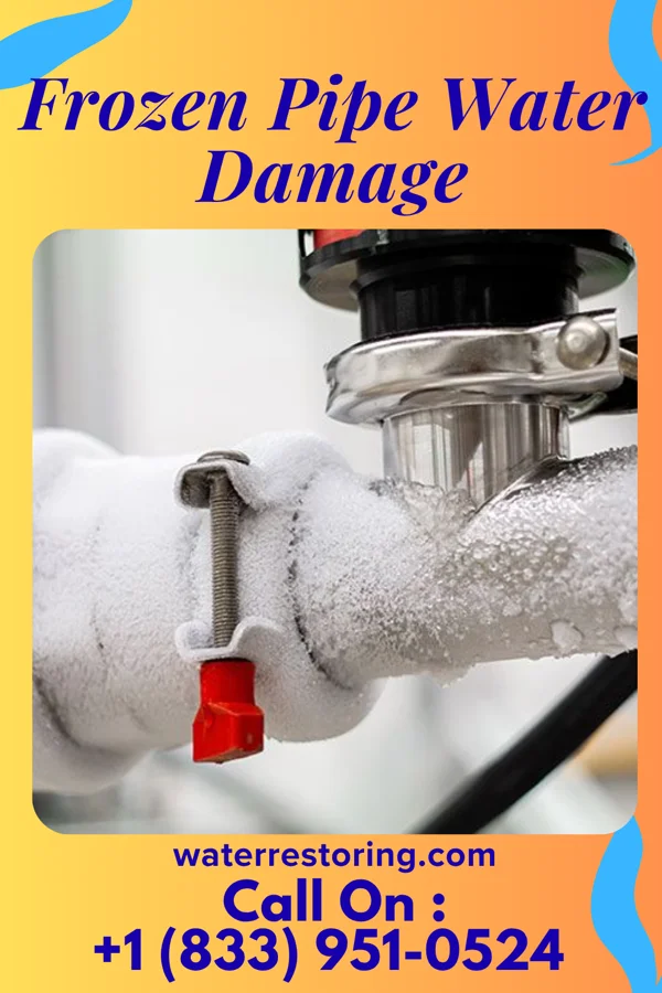 Frozen Pipe Water Damage in Riverview Park, PA