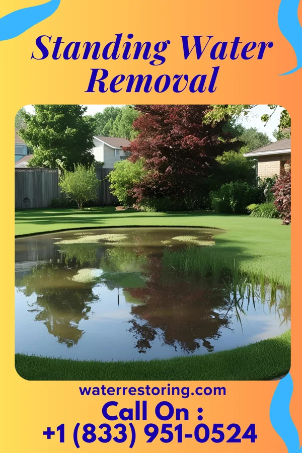 Standing Water Removal in Riverview Park, PA